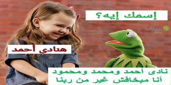 نكت الضفدع الاخضر