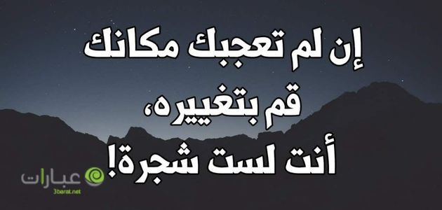 خواطر عن الدنيا