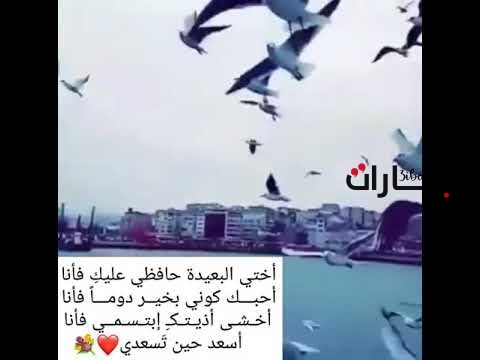 كلام جميل عن أختي